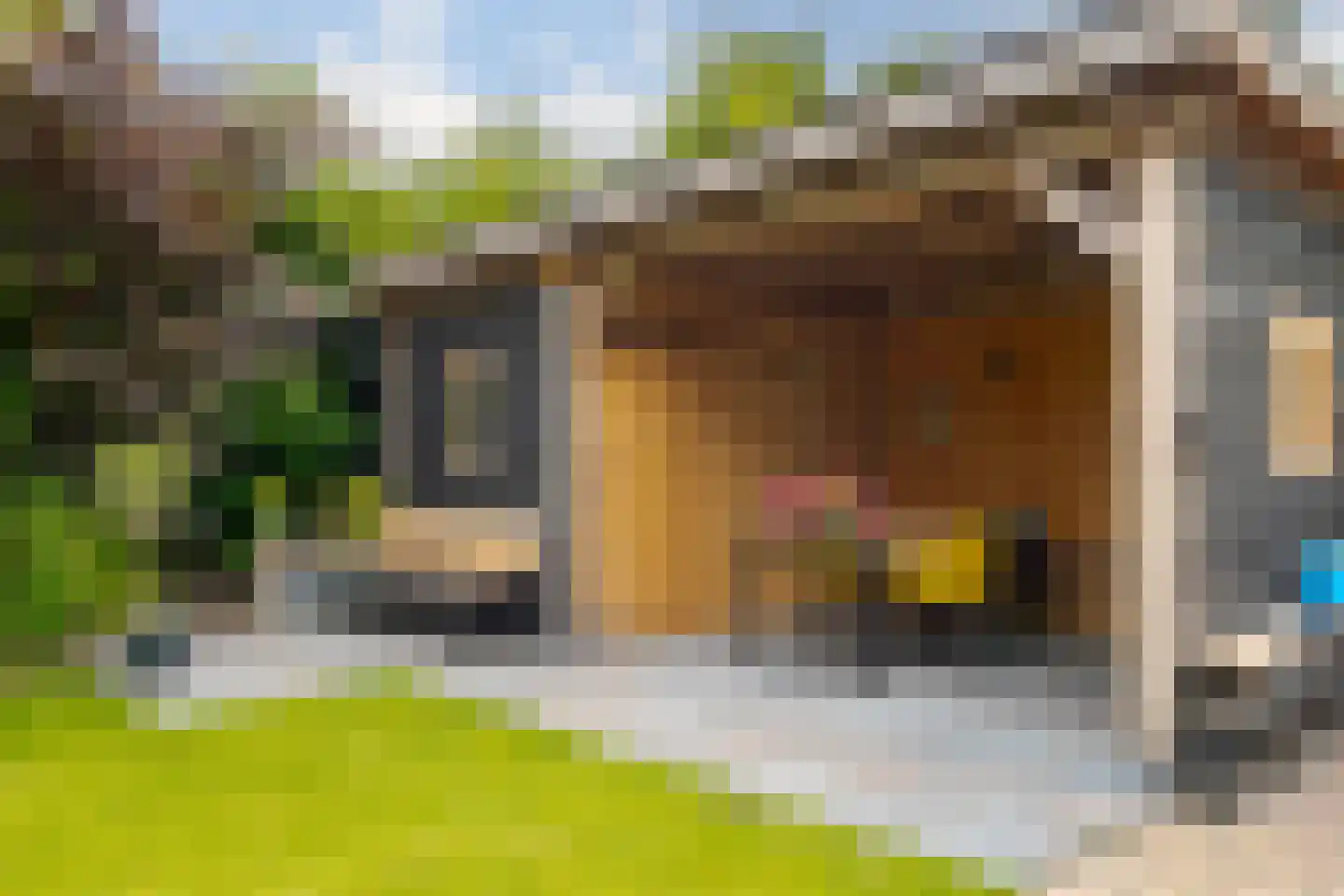 Vogelwikke 28 Roden thumbnail 66