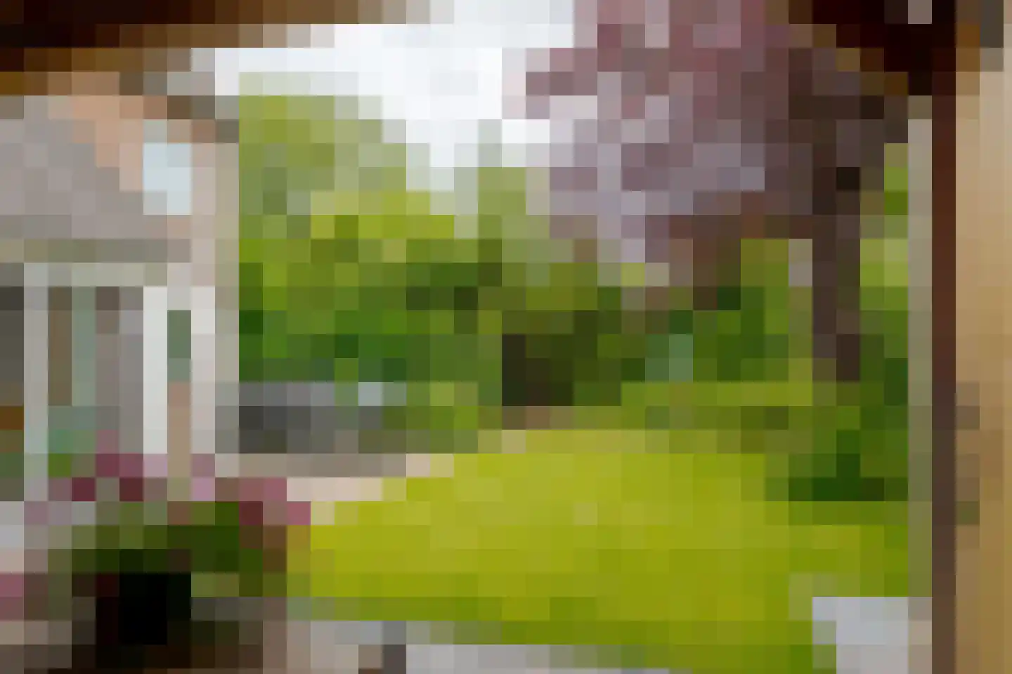 Vogelwikke 28 Roden thumbnail 67