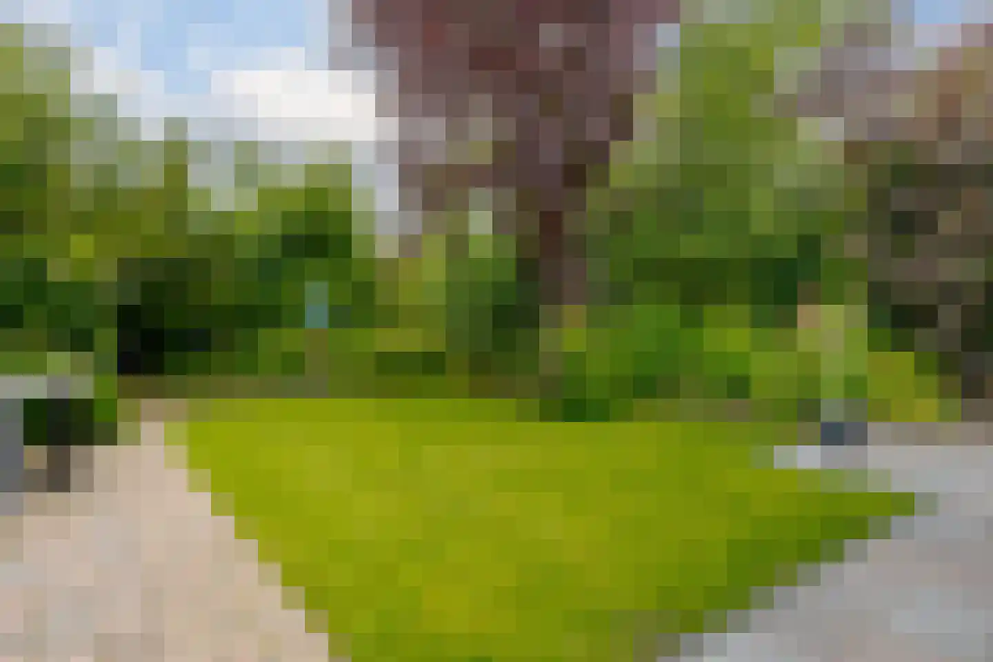 Vogelwikke 28 Roden thumbnail 68