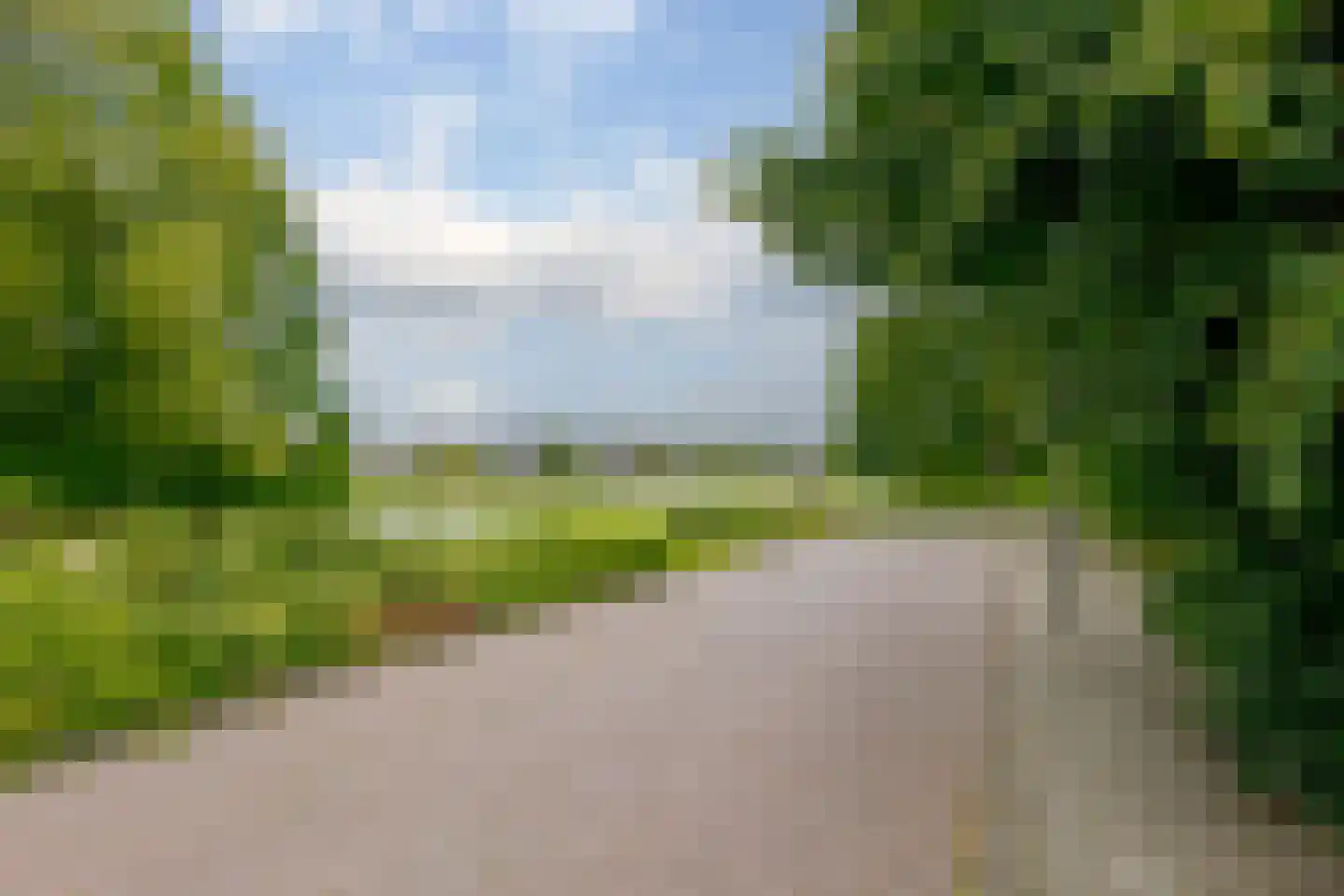 Vogelwikke 28 Roden thumbnail 69