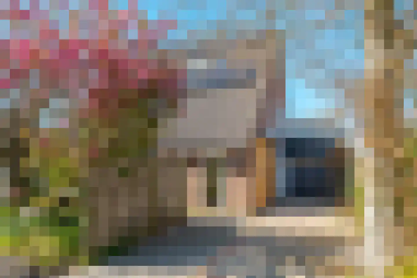 Vogelwikke 28 Roden thumbnail 7