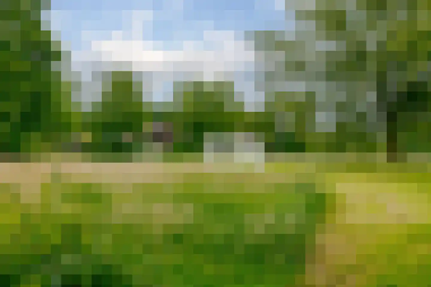Vogelwikke 28 Roden thumbnail 70