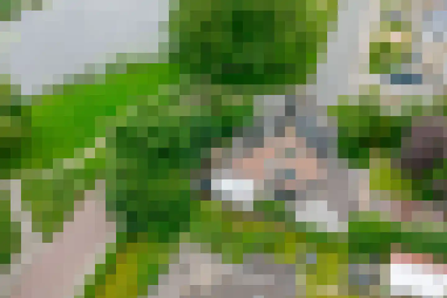 Vogelwikke 28 Roden thumbnail 71