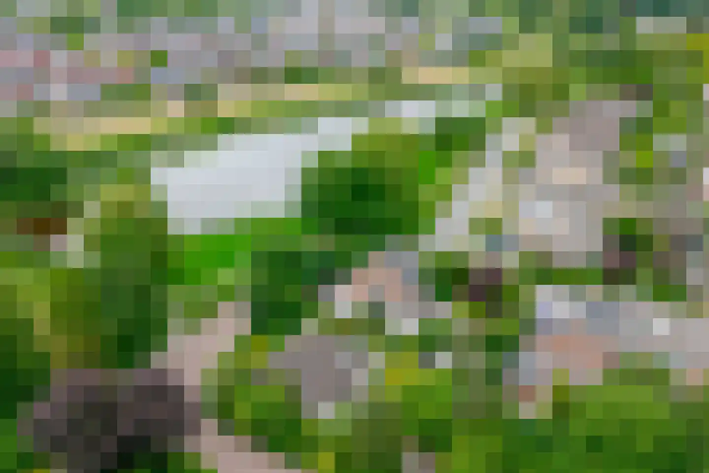 Vogelwikke 28 Roden thumbnail 72
