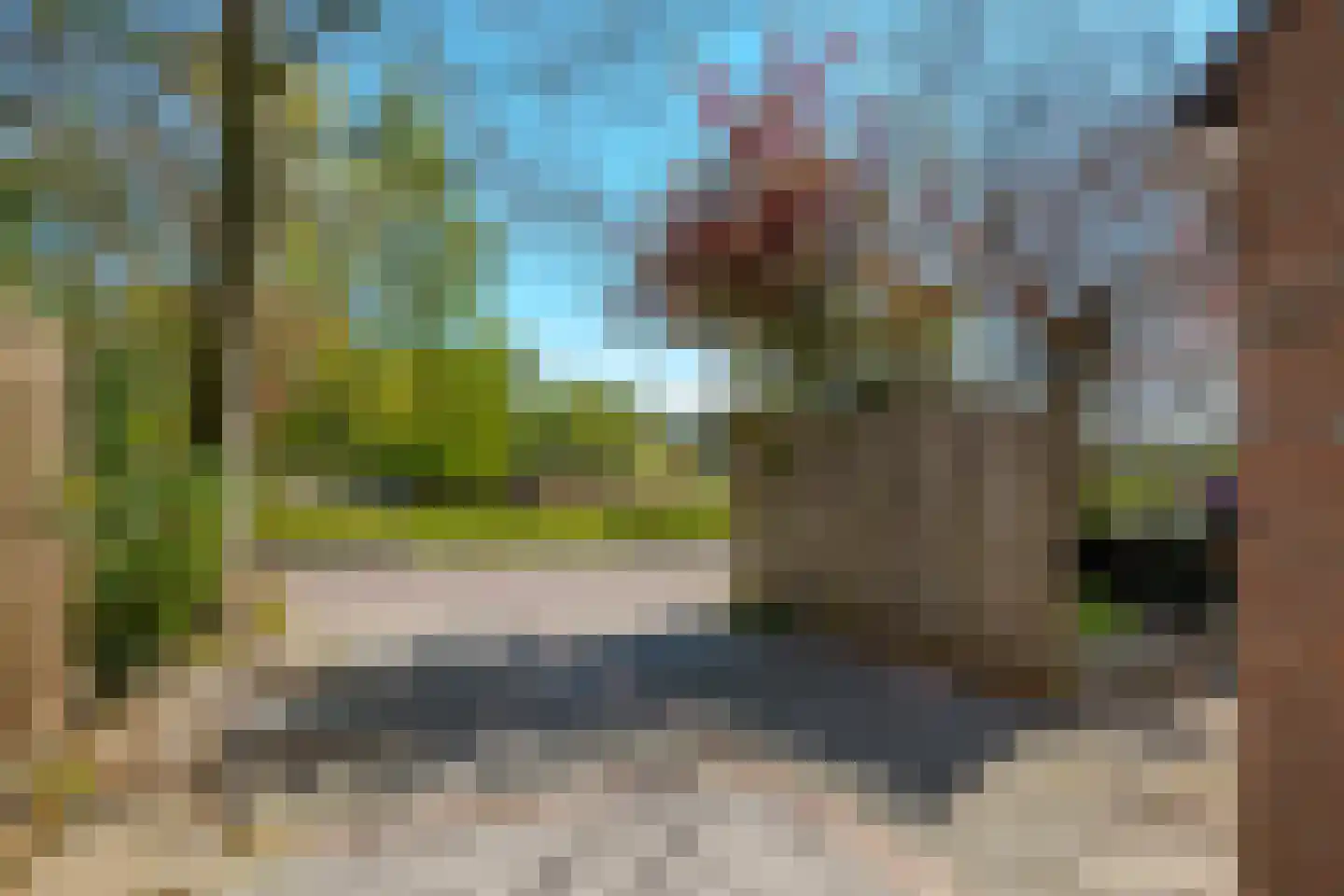 Vogelwikke 28 Roden thumbnail 9