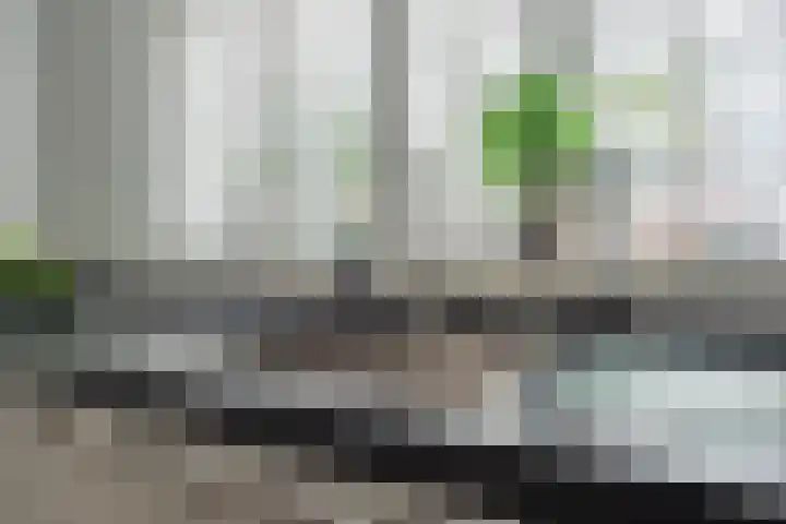 Vogelwikke 29 A Barneveld thumbnail 10