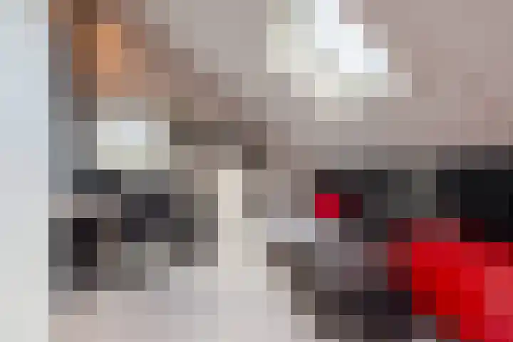 Vogelwikke 29 A Barneveld thumbnail 30