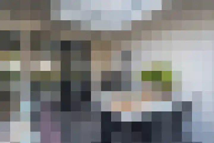 Vogelwikke 29 A Barneveld thumbnail 35