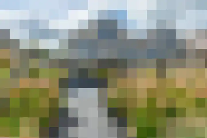 Vogelwikke 29 A Barneveld thumbnail 42
