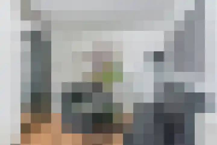 Vogelwikke 29 A Barneveld thumbnail 7