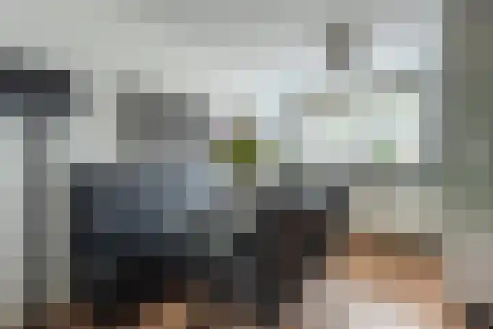 Vogelwikke 29 A Barneveld thumbnail 8