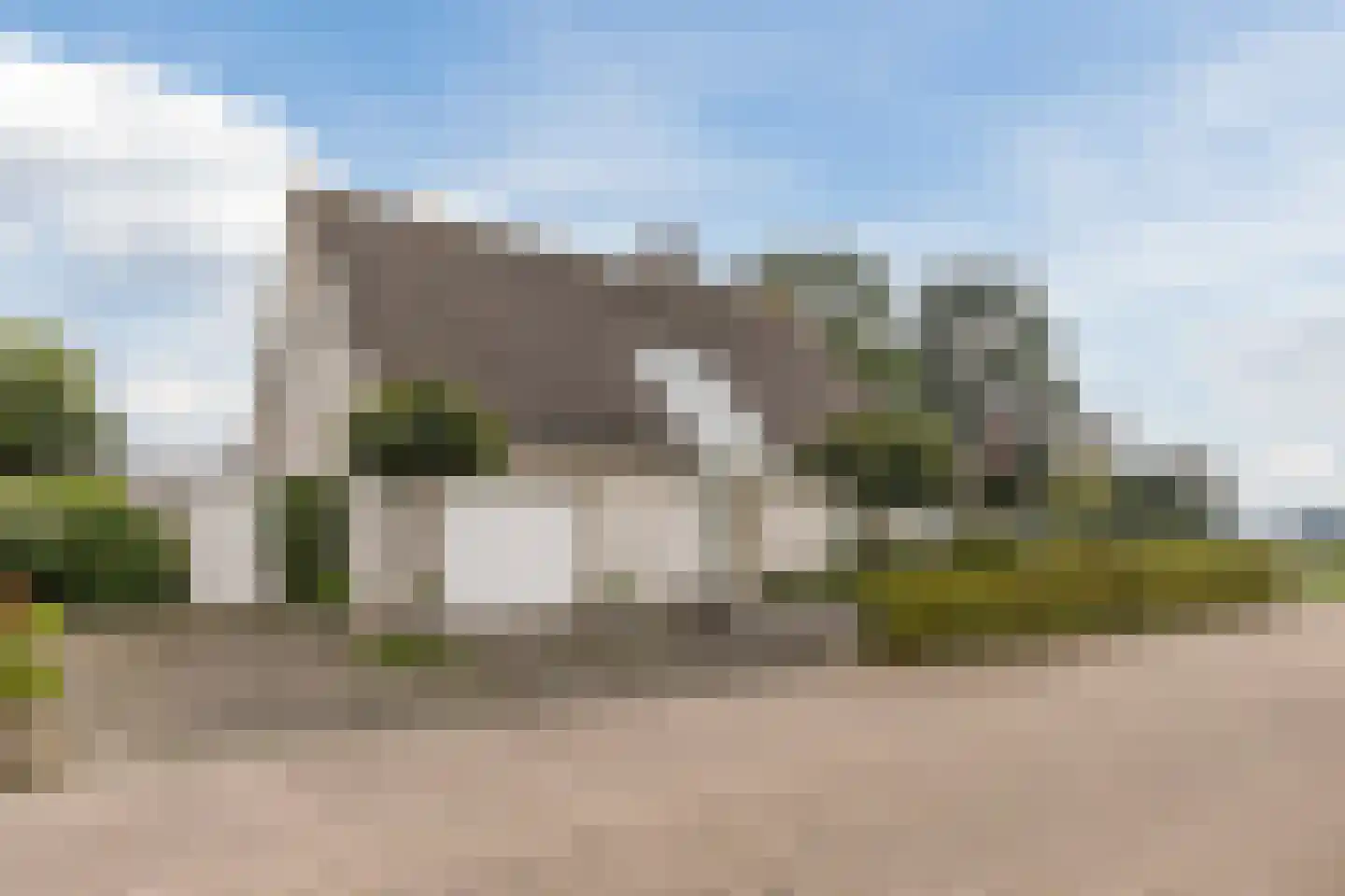 Vogelwikke 3 Udenhout