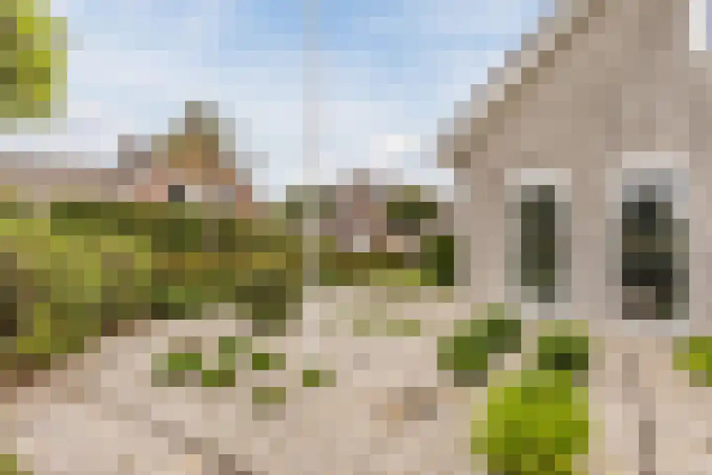 Vogelwikke 3 Udenhout thumbnail 10