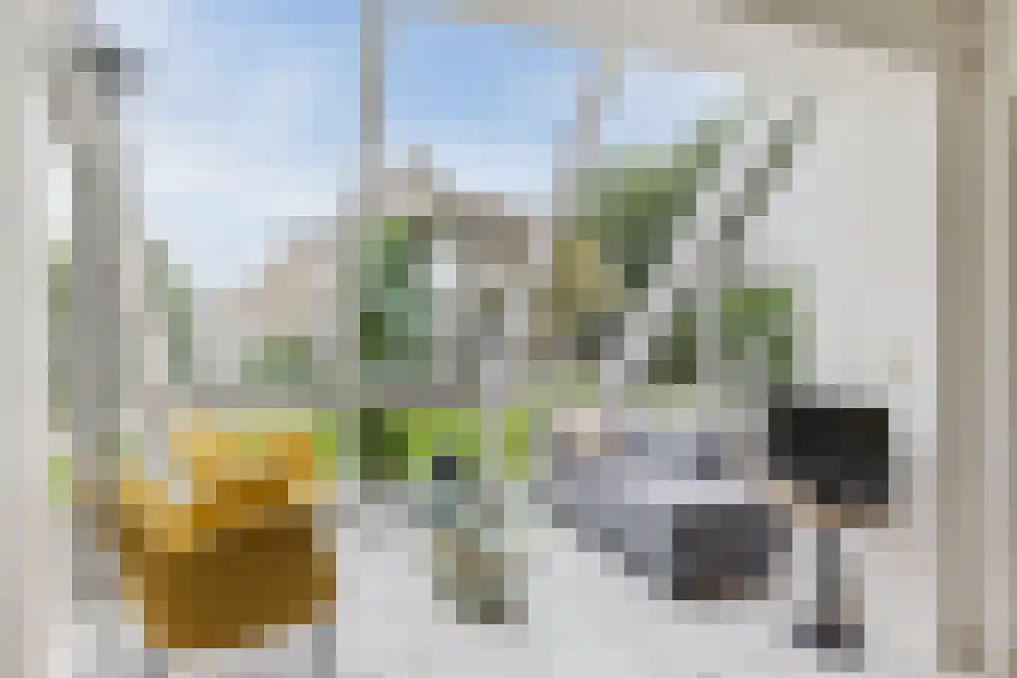 Vogelwikke 3 Udenhout thumbnail 20