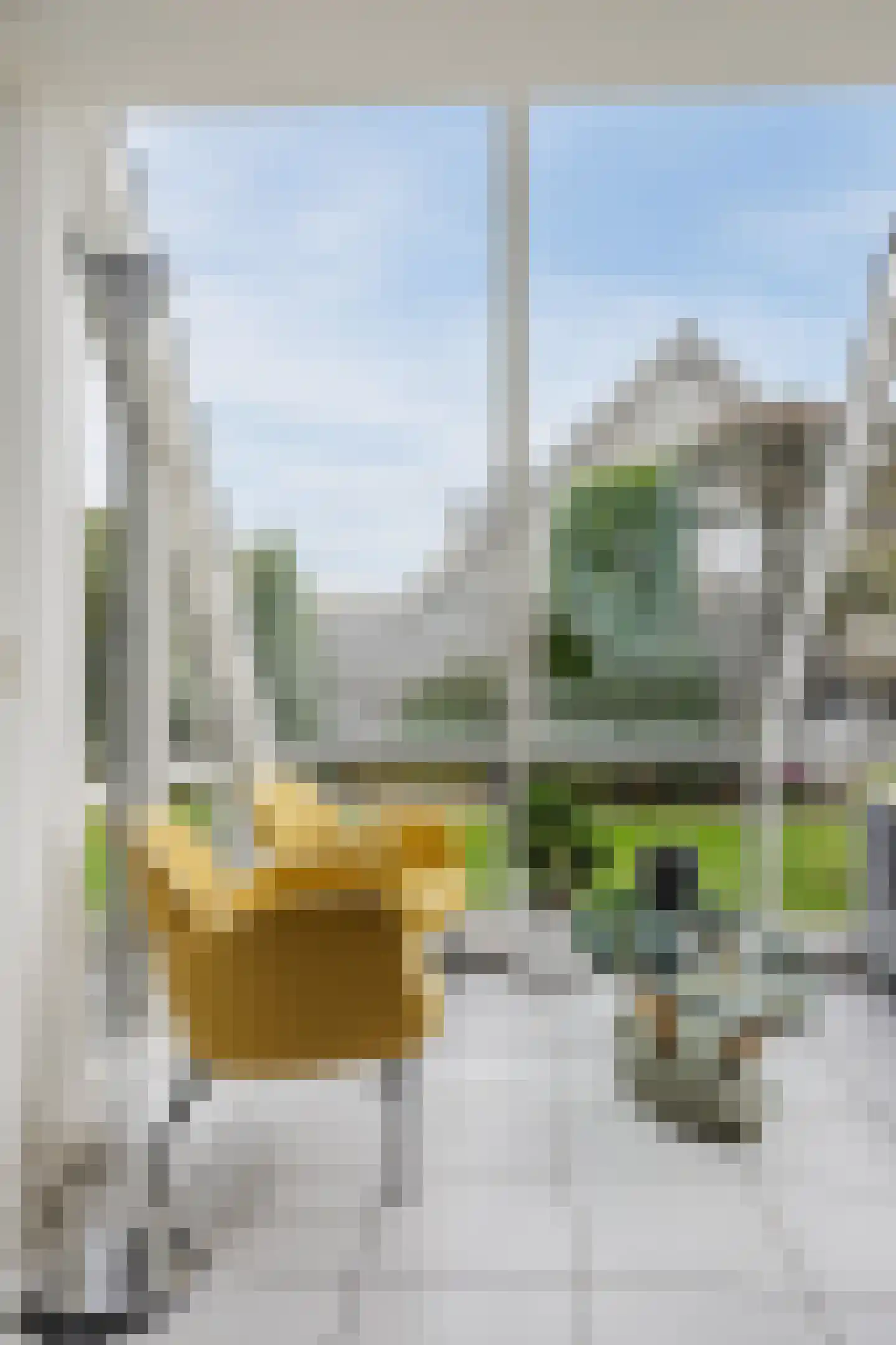 Vogelwikke 3 Udenhout thumbnail 22