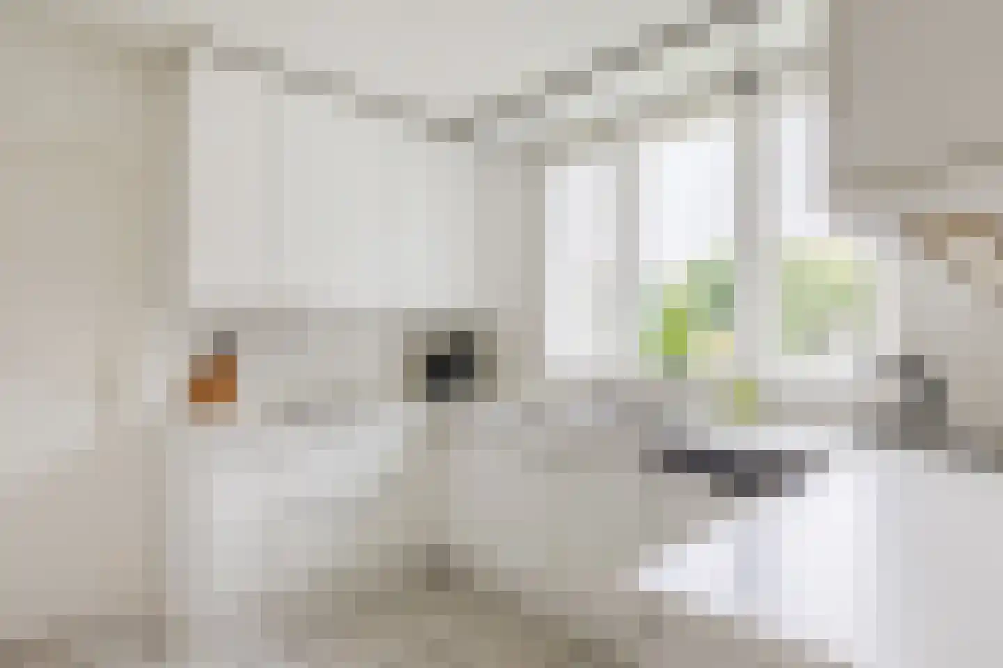 Vogelwikke 3 Udenhout thumbnail 25