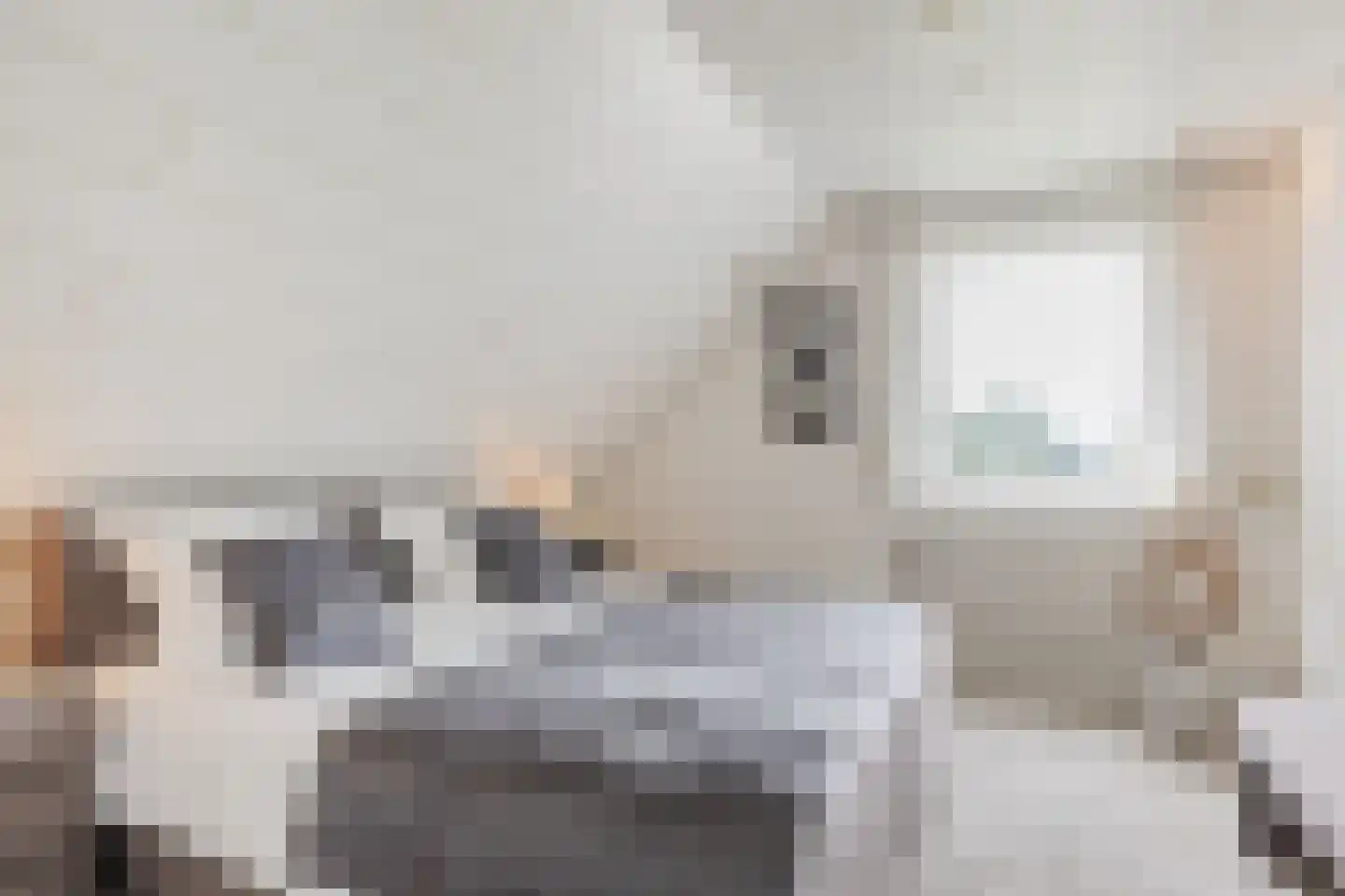 Vogelwikke 3 Udenhout thumbnail 27
