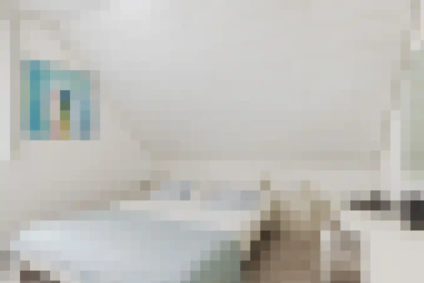Vogelwikke 3 Udenhout thumbnail 29