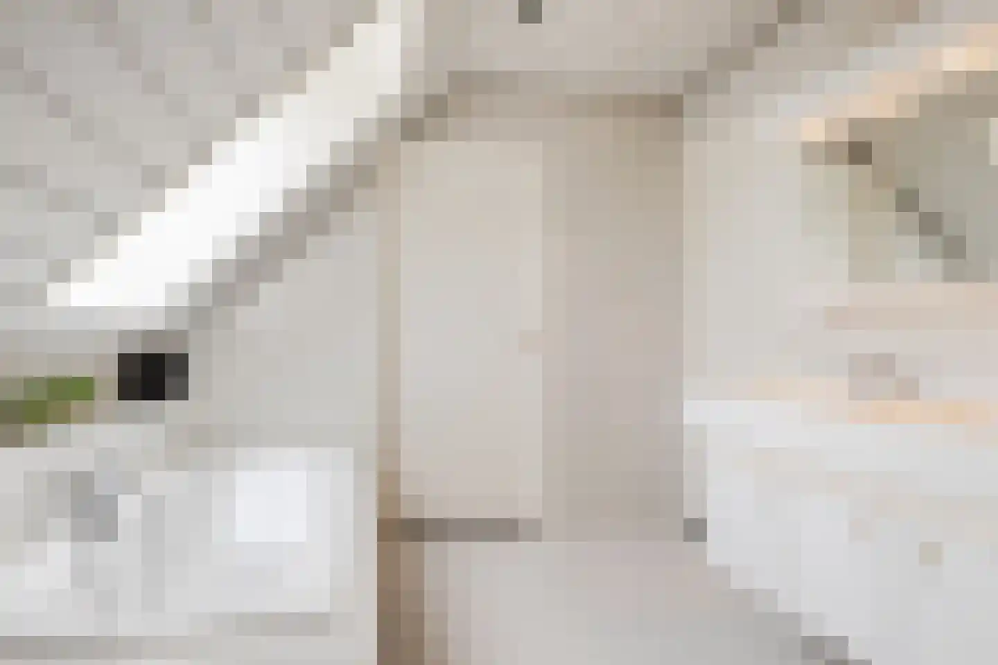 Vogelwikke 3 Udenhout thumbnail 35