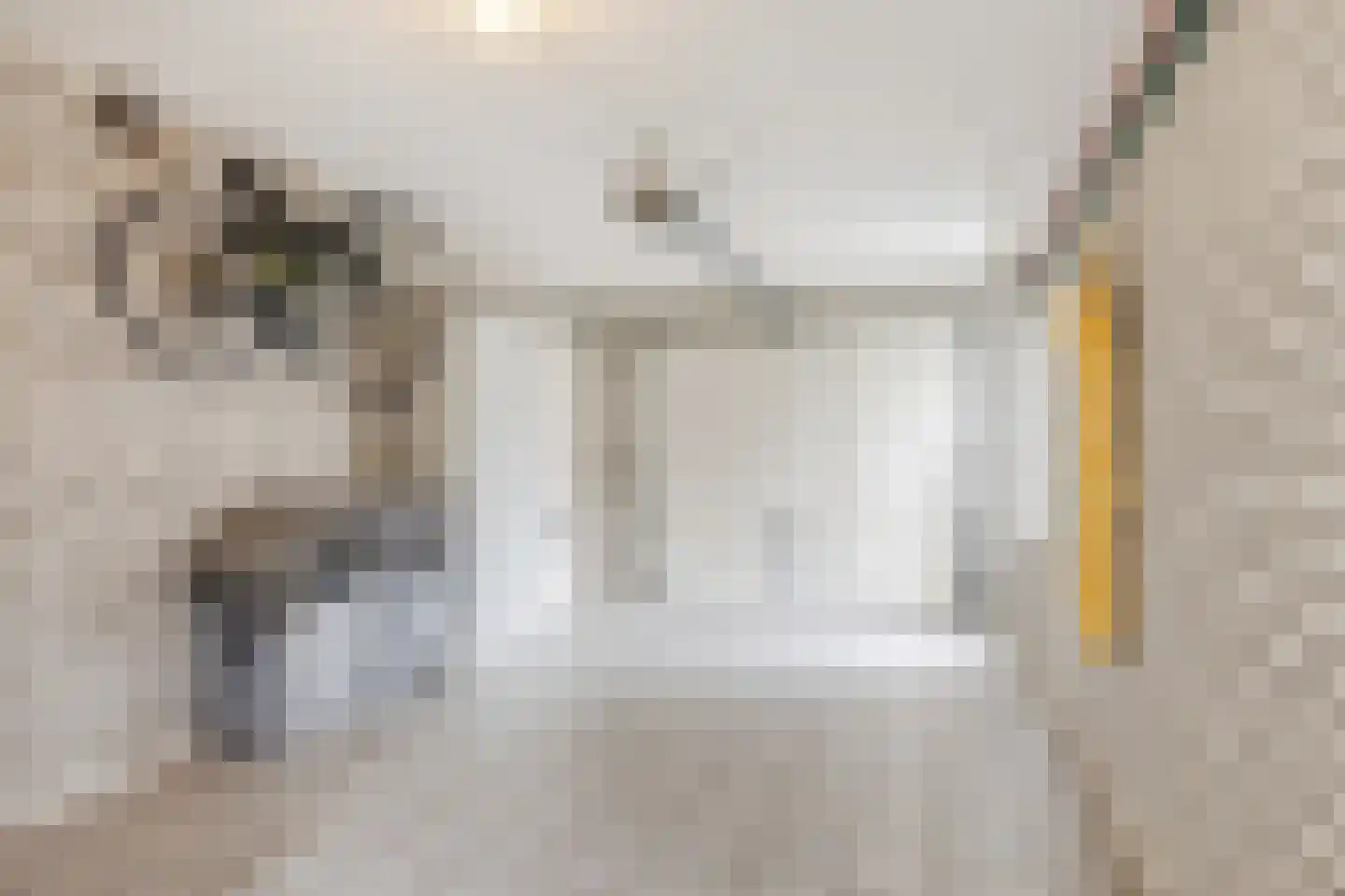 Vogelwikke 3 Udenhout thumbnail 40