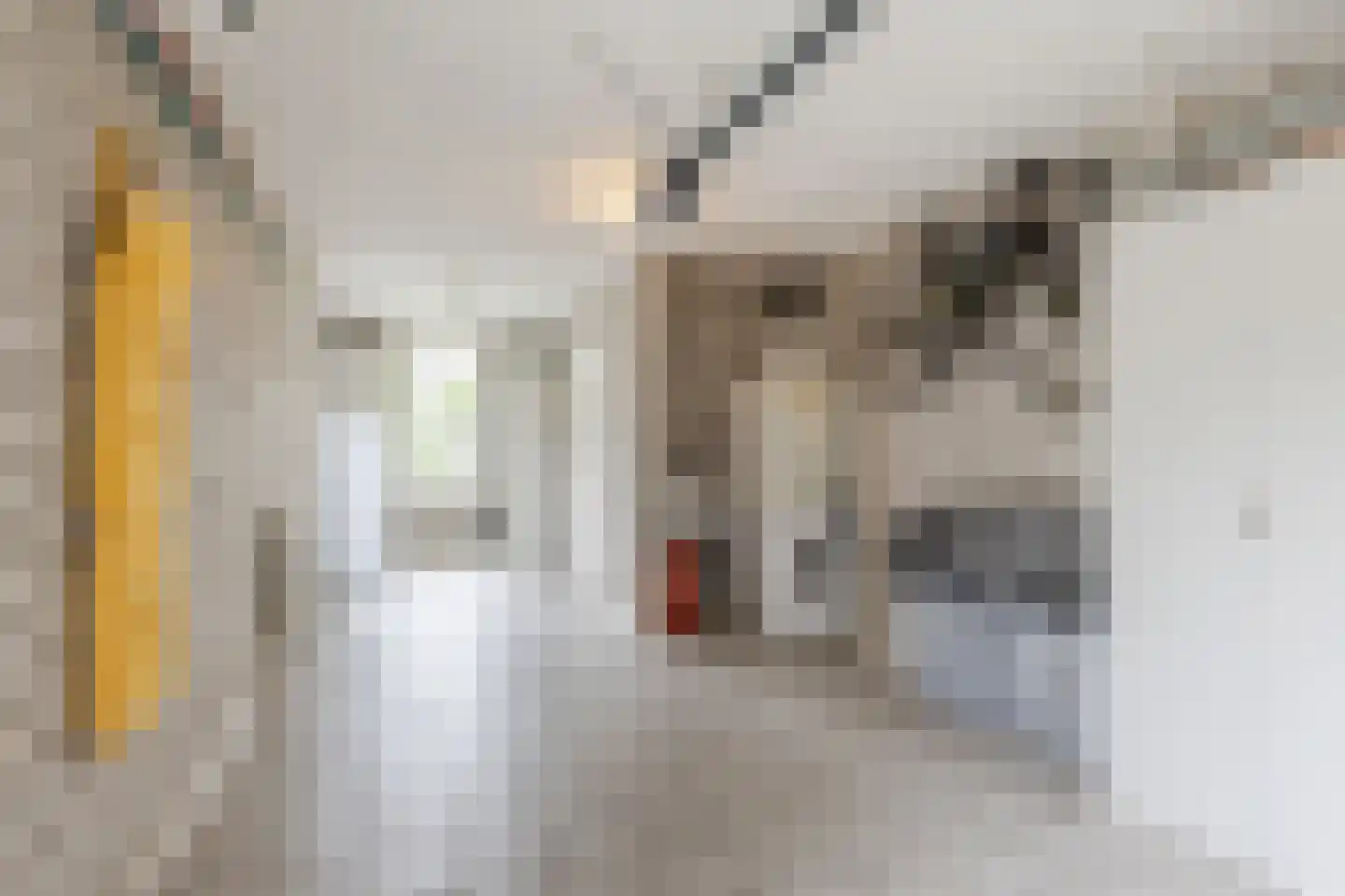 Vogelwikke 3 Udenhout thumbnail 41