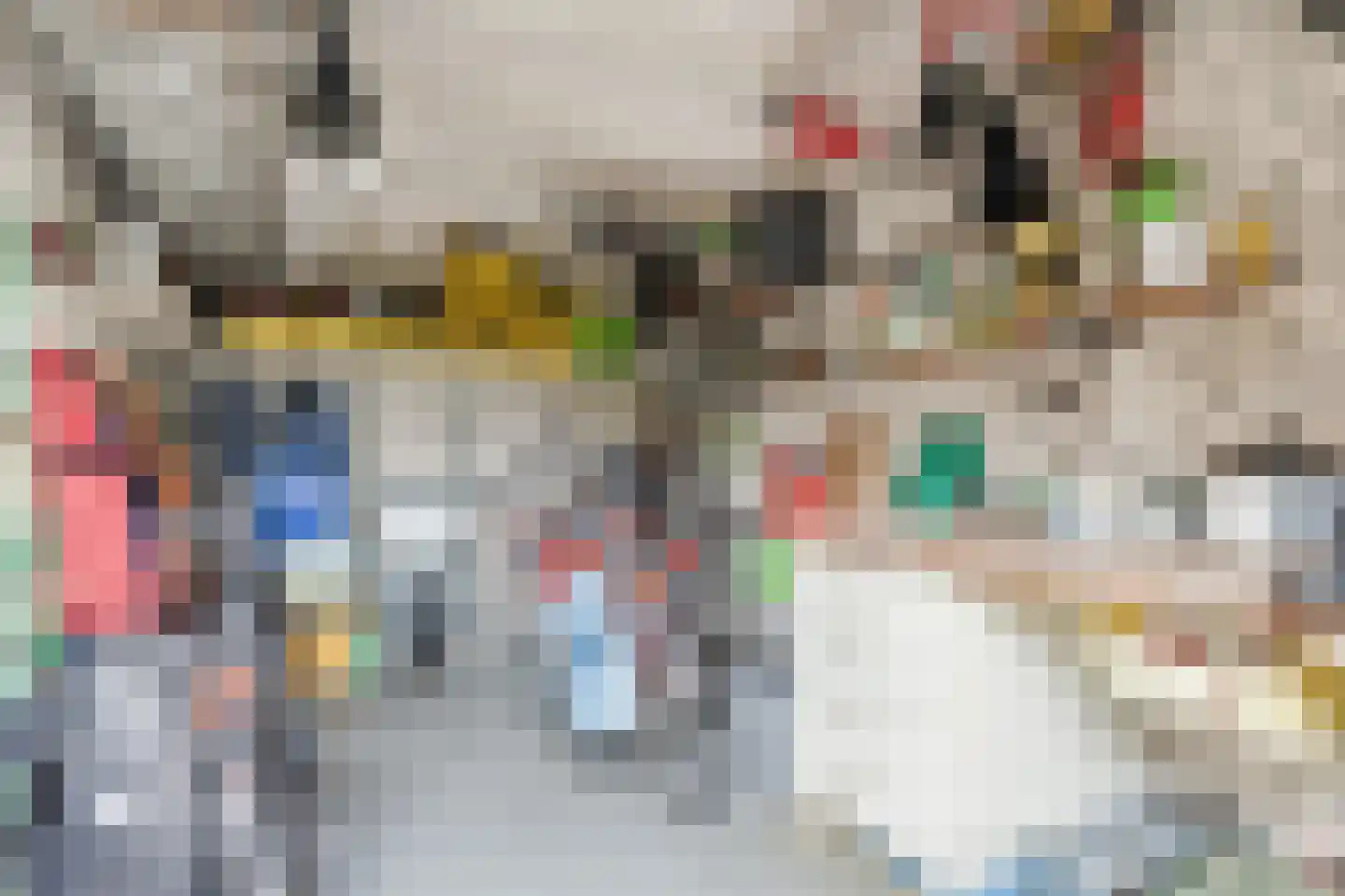 Vogelwikke 3 Udenhout thumbnail 42