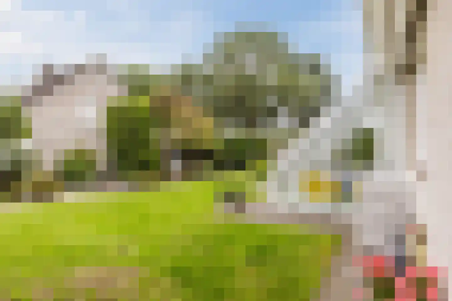 Vogelwikke 3 Udenhout thumbnail 43