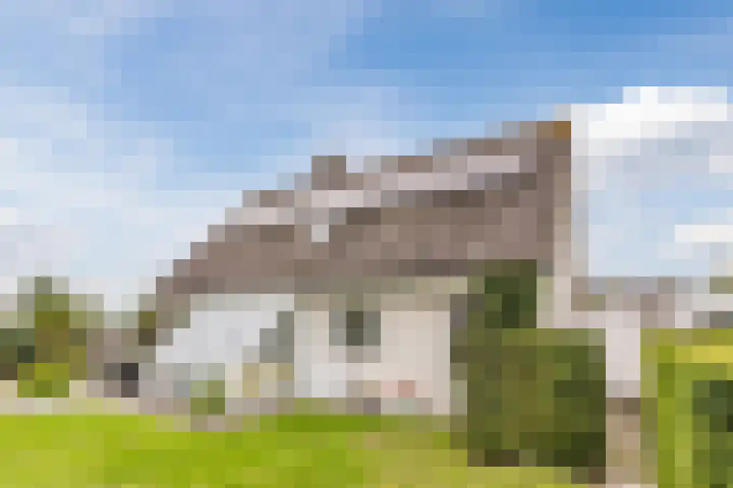 Vogelwikke 3 Udenhout thumbnail 44