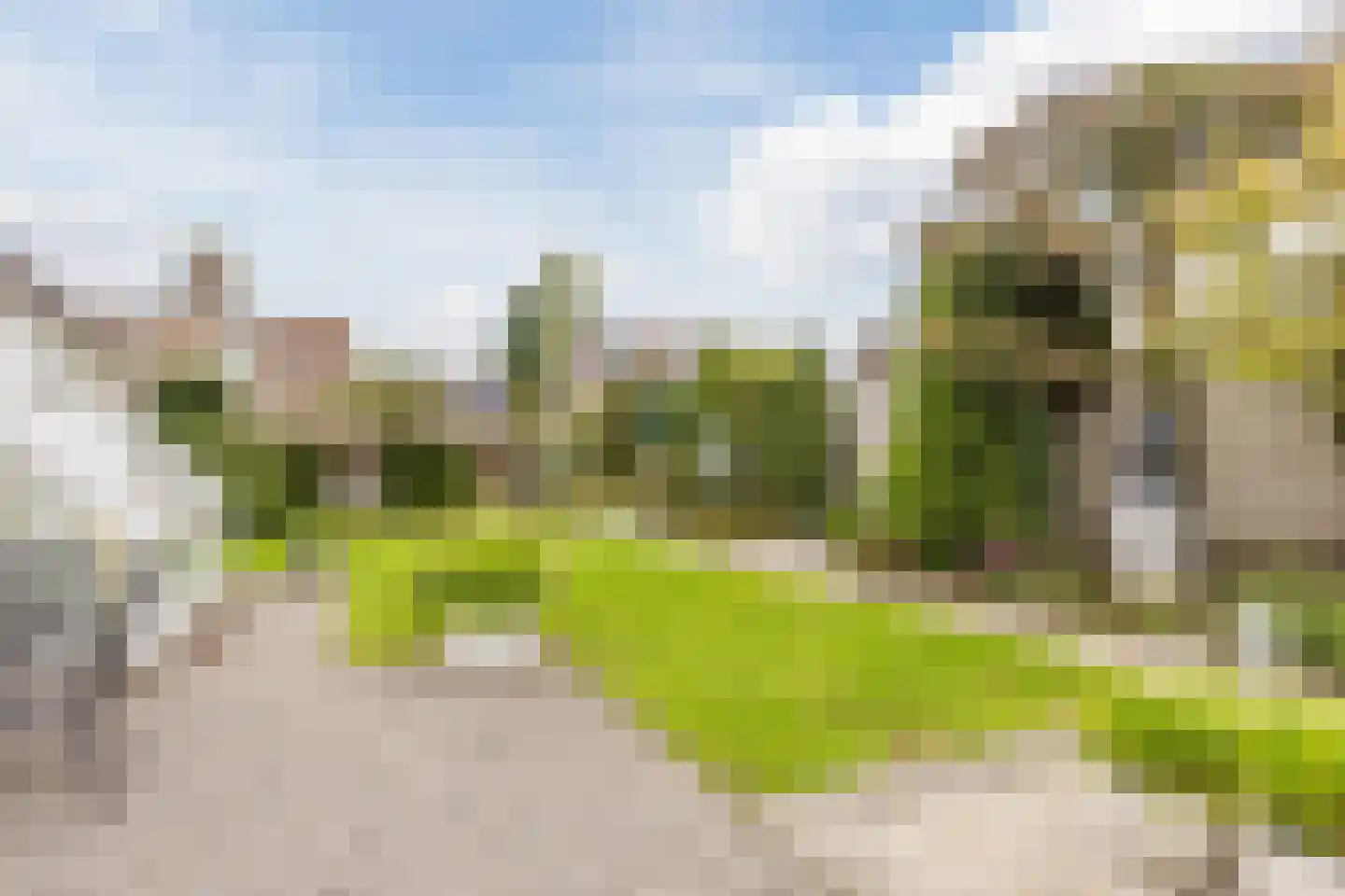 Vogelwikke 3 Udenhout thumbnail 45