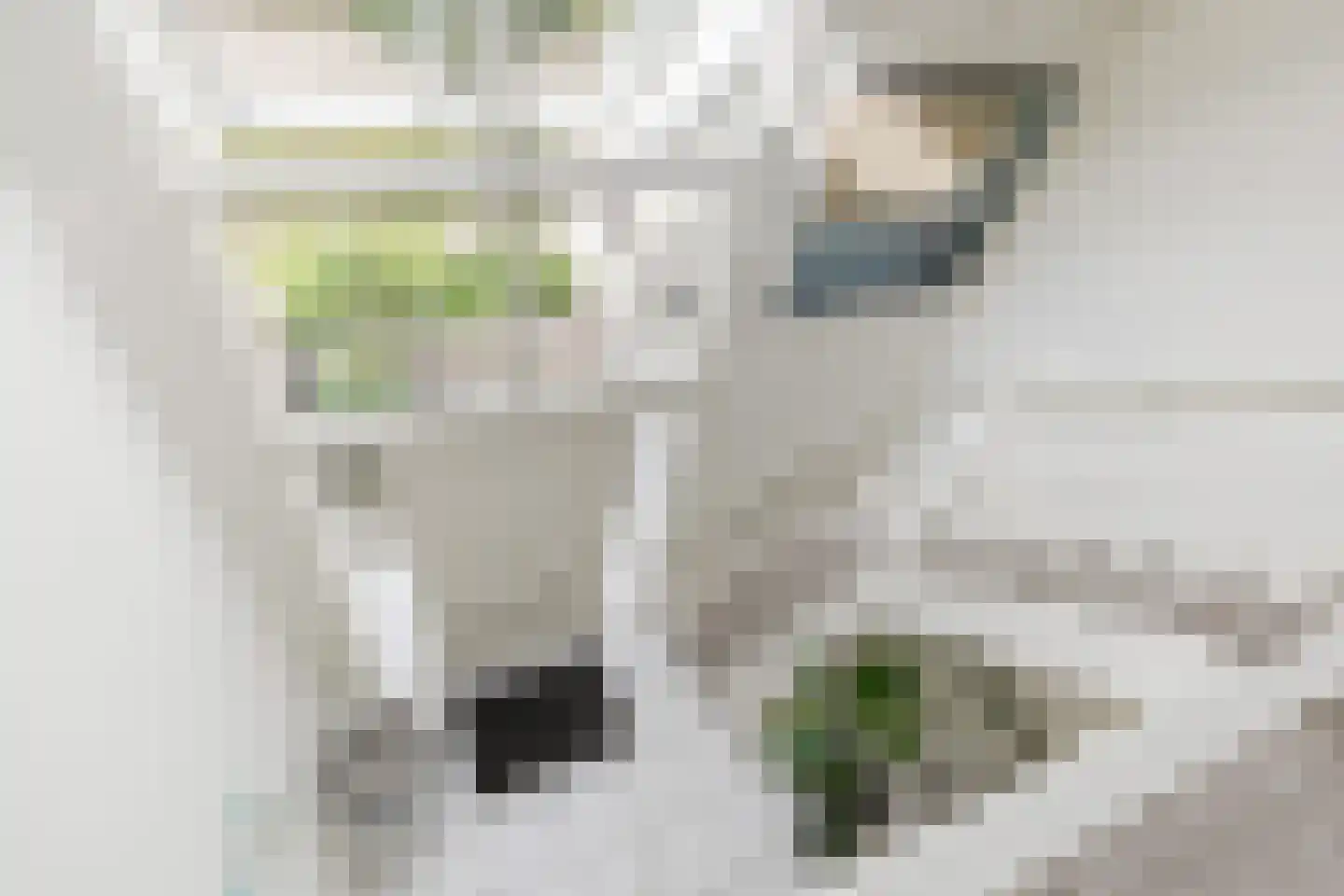 Vogelwikke 3 Udenhout thumbnail 5