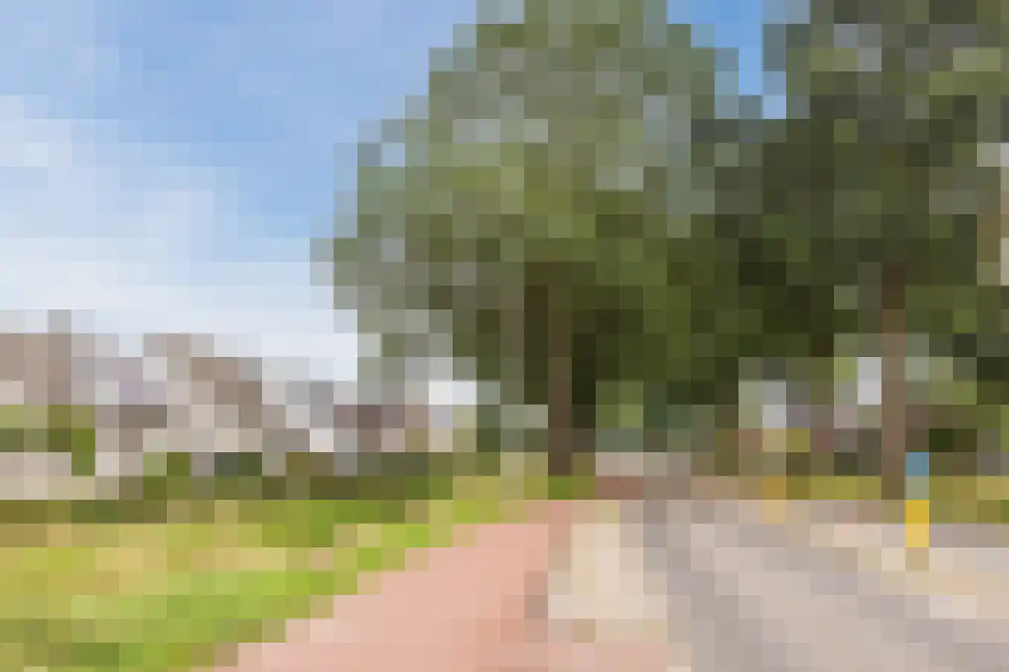 Vogelwikke 3 Udenhout thumbnail 50