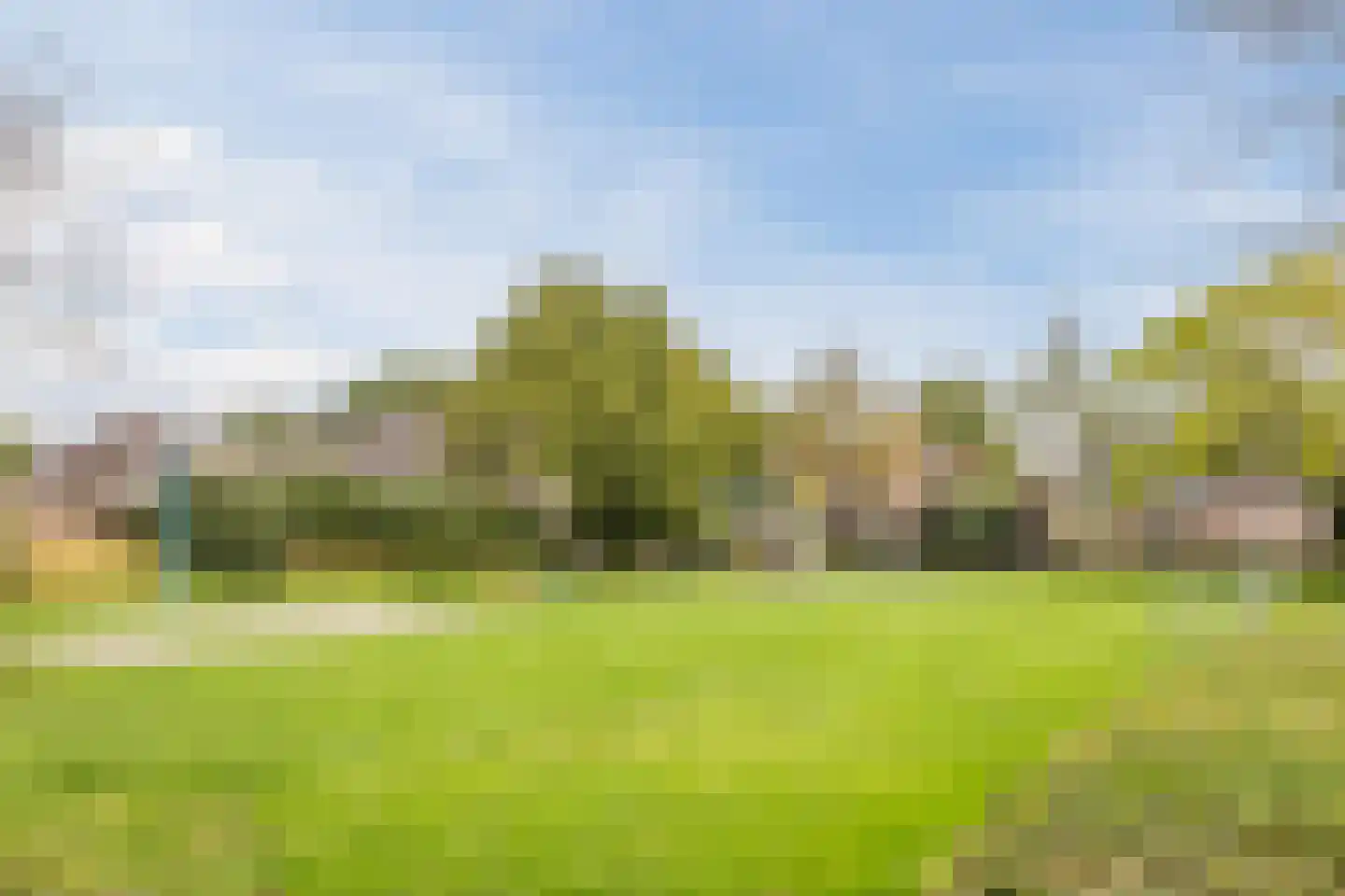 Vogelwikke 3 Udenhout thumbnail 51