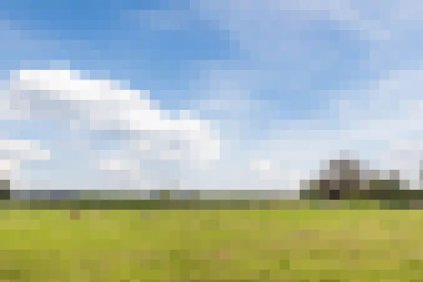 Vogelwikke 3 Udenhout thumbnail 52