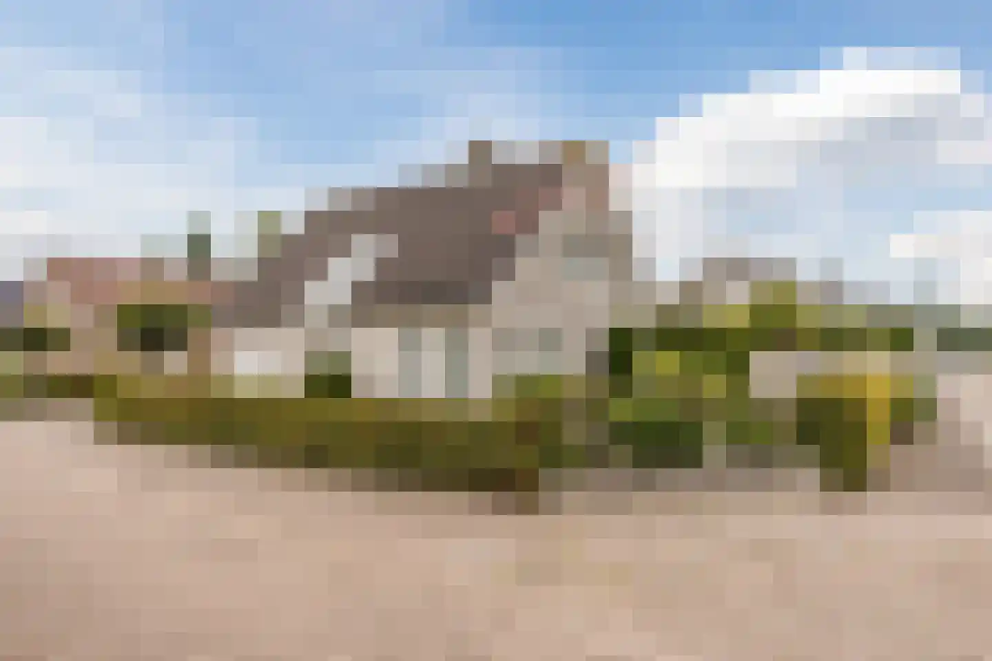 Vogelwikke 3 Udenhout thumbnail 7
