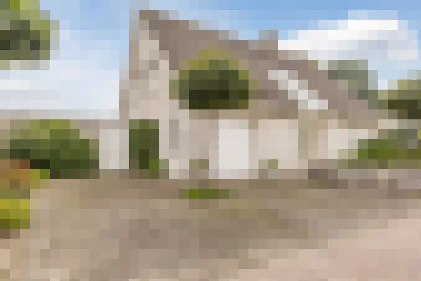 Vogelwikke 3 Udenhout thumbnail 9