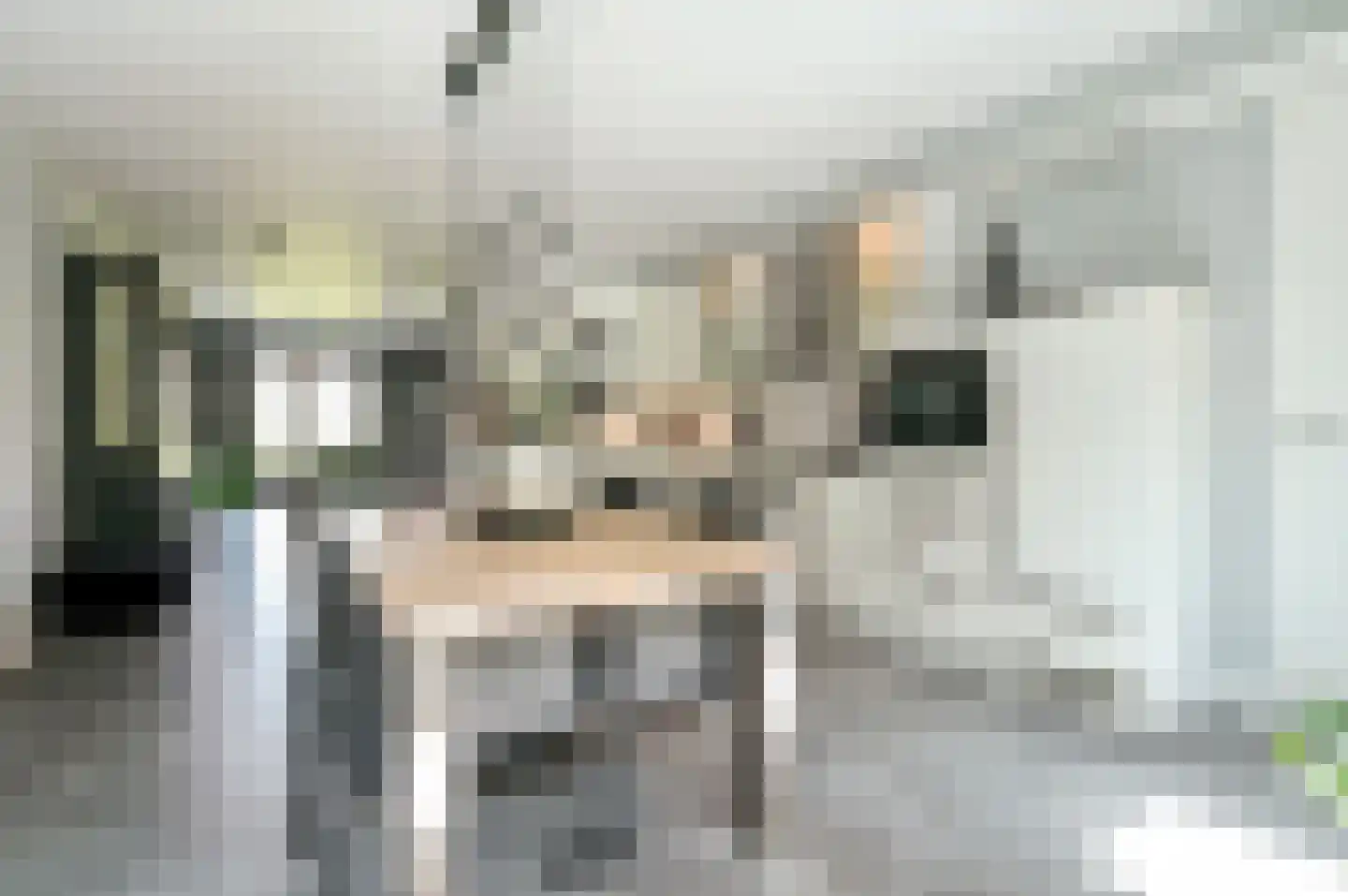 Vogelwikke 36 Elburg thumbnail 10