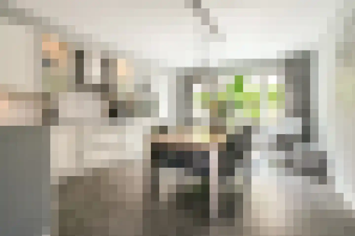 Vogelwikke 36 Elburg thumbnail 11