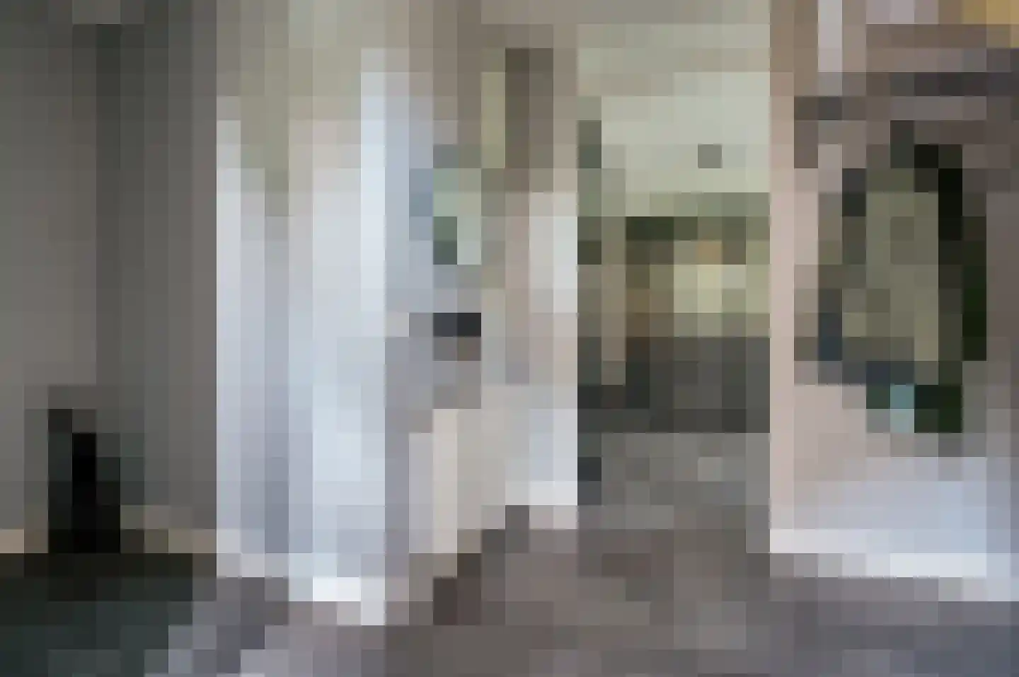 Vogelwikke 36 Elburg thumbnail 14