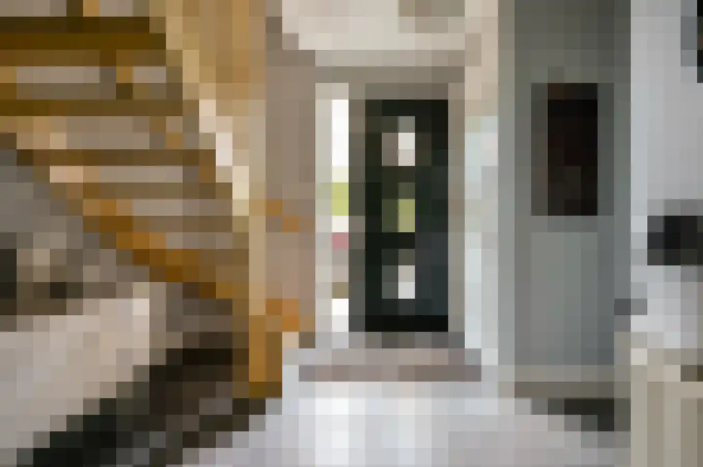 Vogelwikke 36 Elburg thumbnail 16