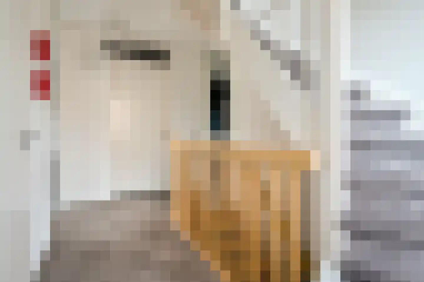 Vogelwikke 36 Elburg thumbnail 25