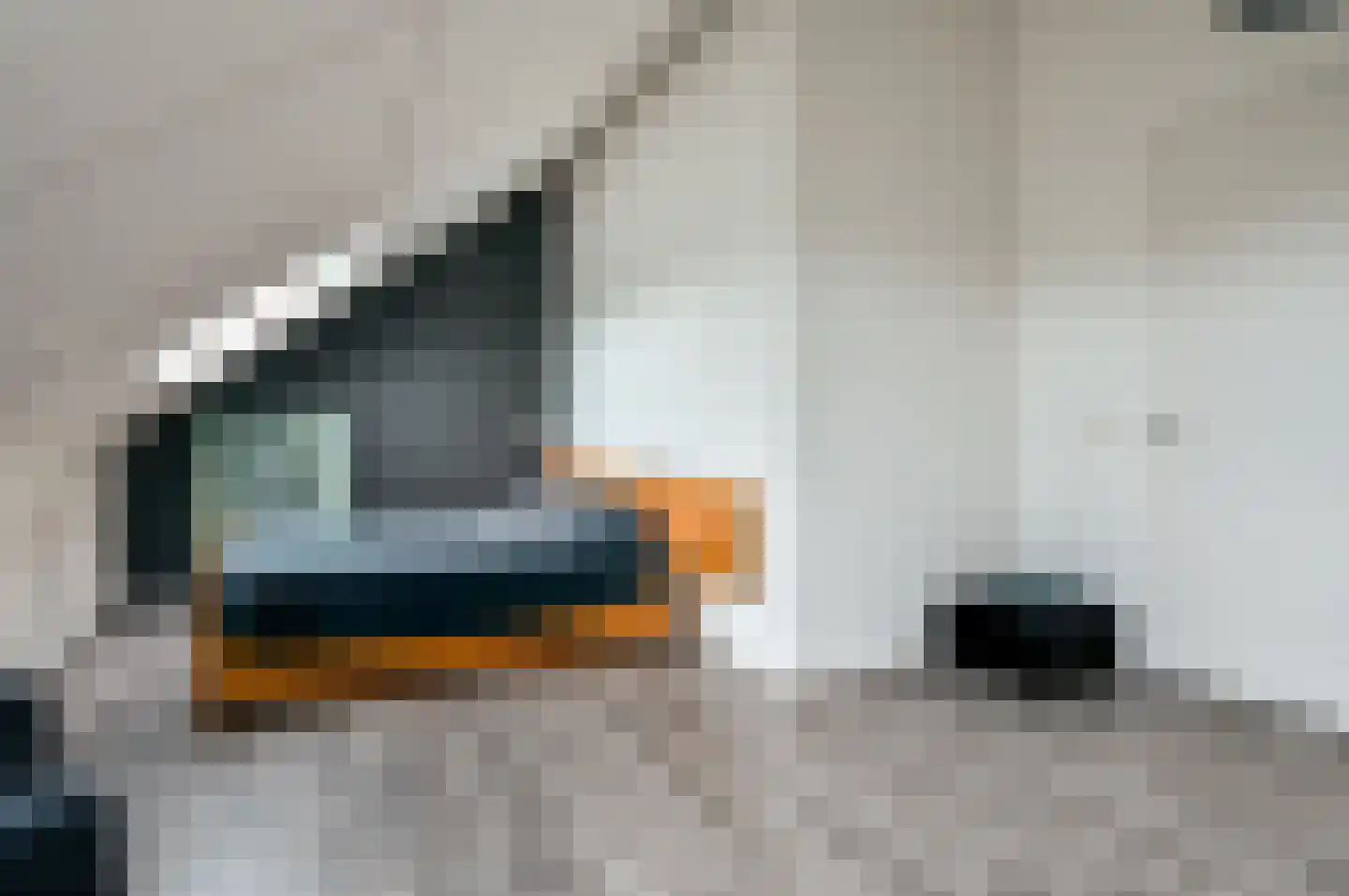 Vogelwikke 36 Elburg thumbnail 26
