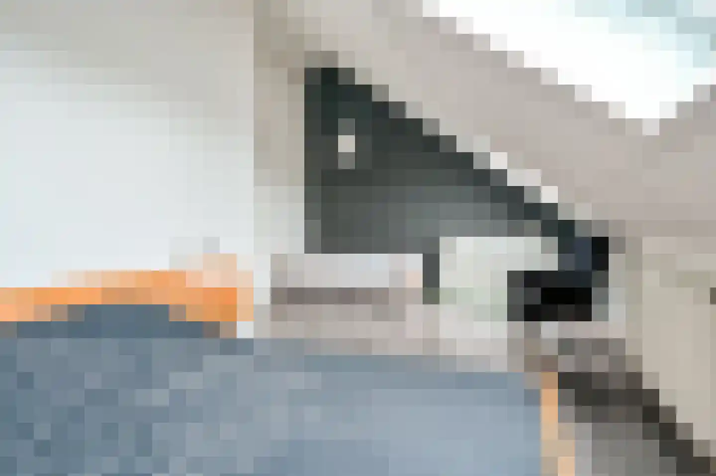 Vogelwikke 36 Elburg thumbnail 27