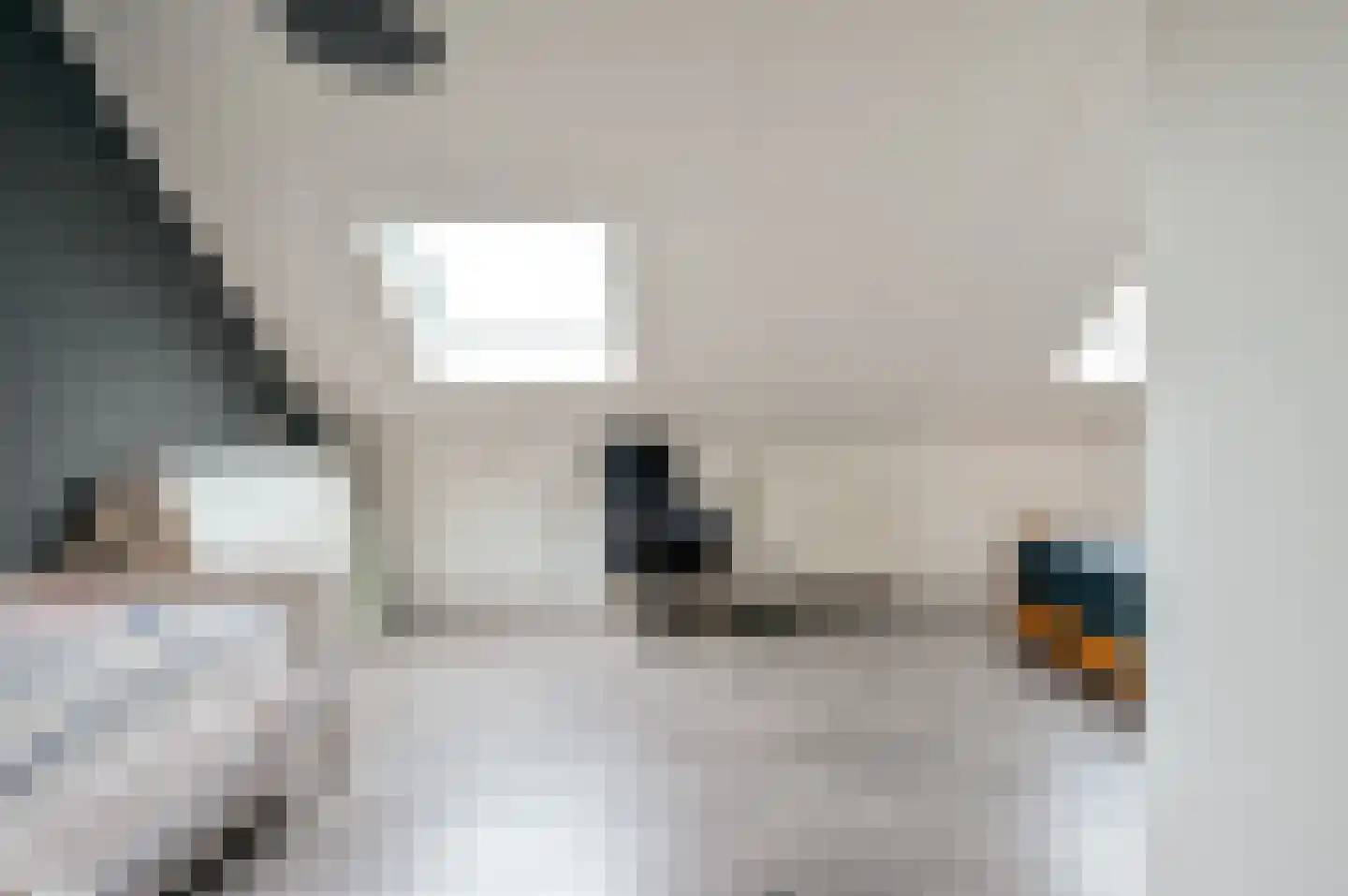 Vogelwikke 36 Elburg thumbnail 28