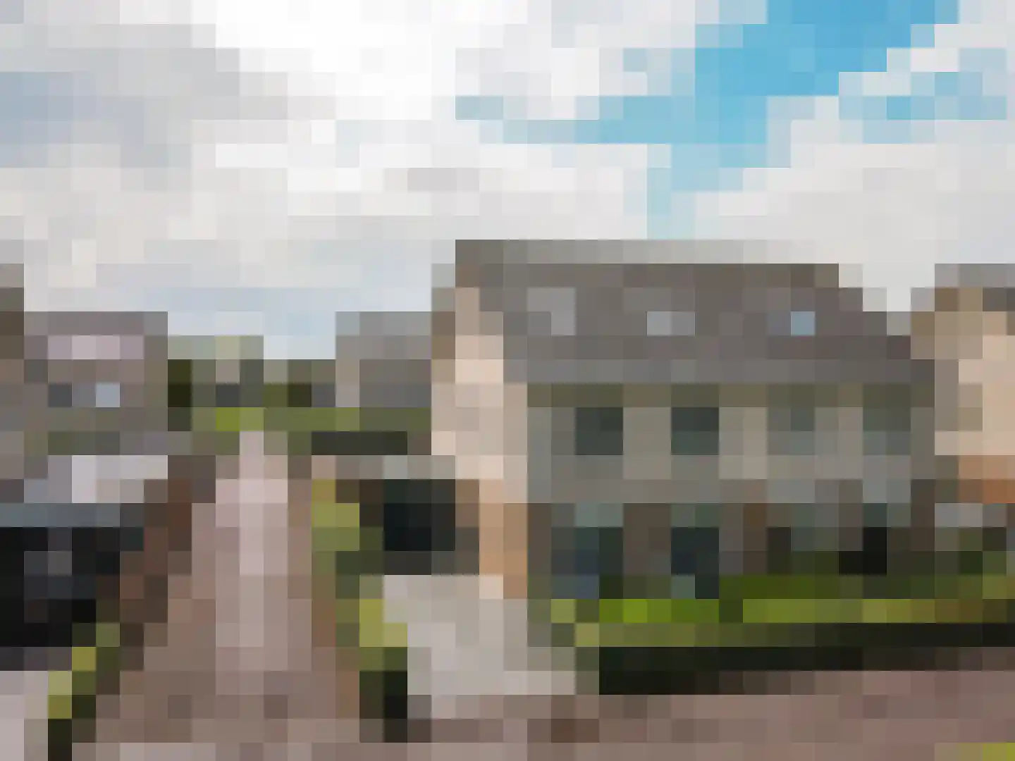 Vogelwikke 36 Elburg thumbnail 36