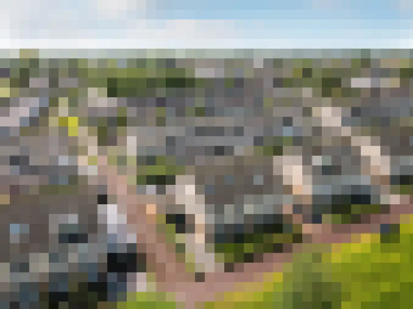 Vogelwikke 36 Elburg thumbnail 37