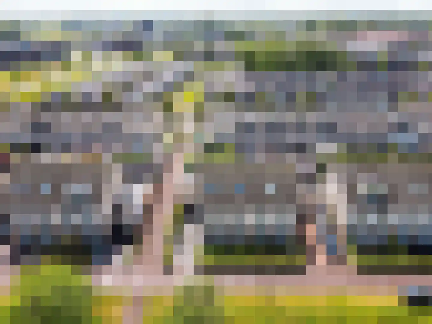 Vogelwikke 36 Elburg thumbnail 38