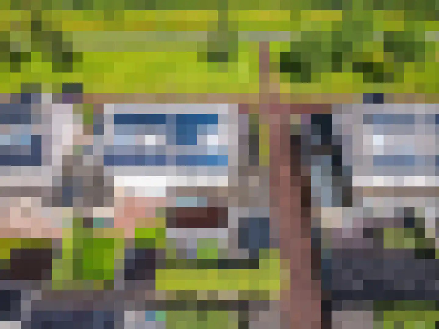 Vogelwikke 36 Elburg thumbnail 39
