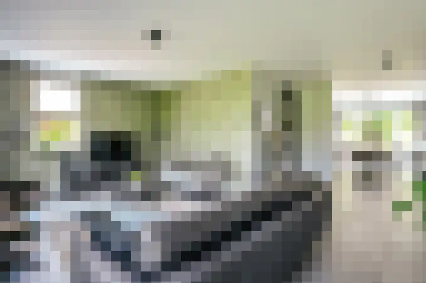 Vogelwikke 36 Elburg thumbnail 6