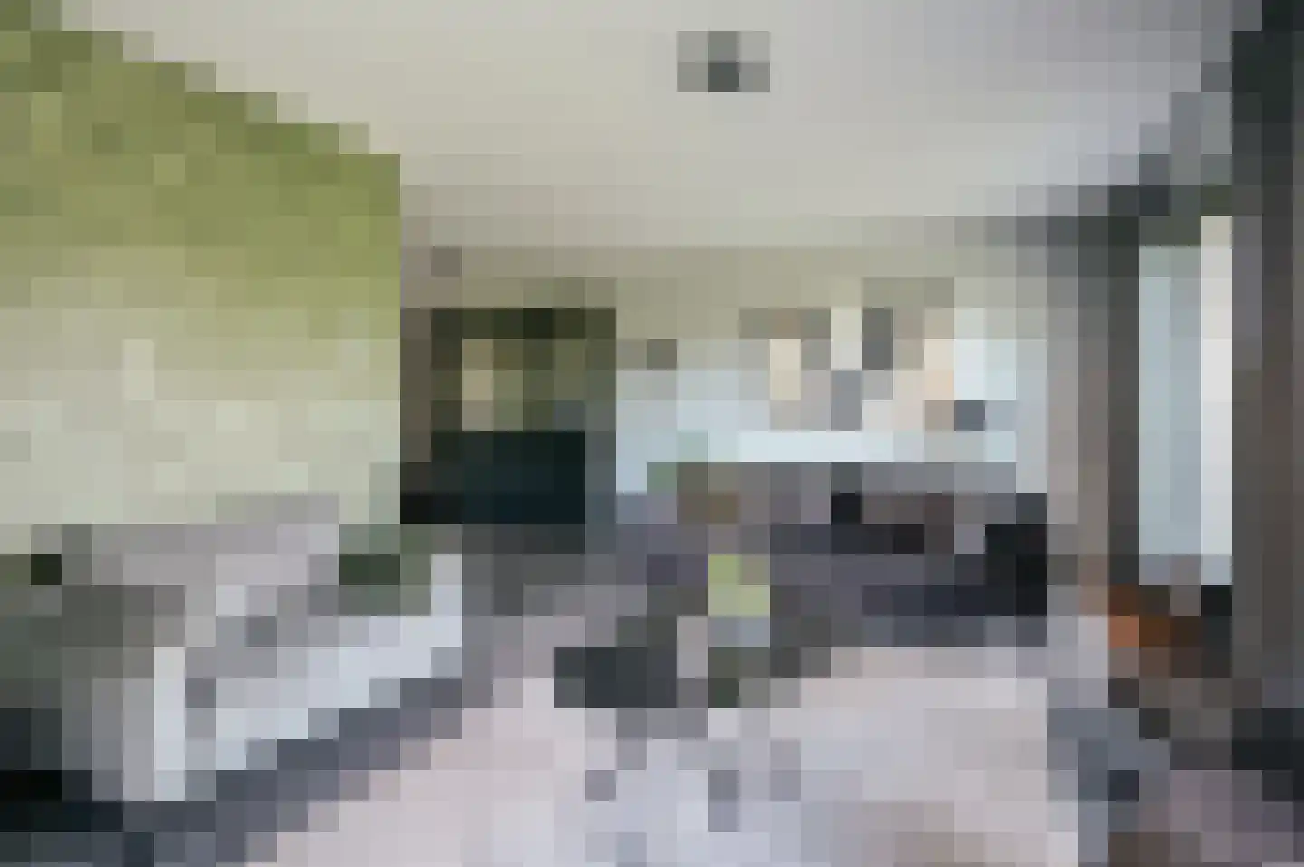 Vogelwikke 36 Elburg thumbnail 7