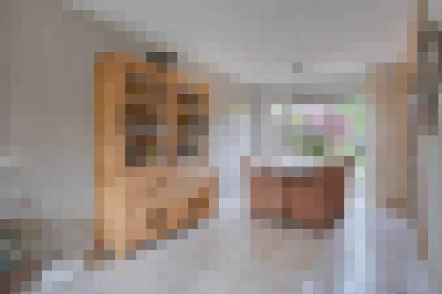 Vogelwikke 37 Barneveld thumbnail 11